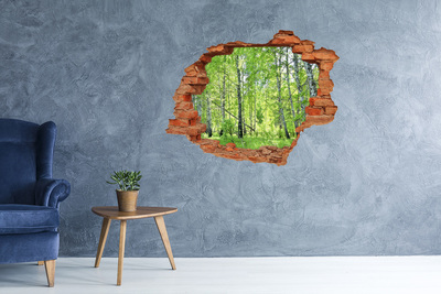 3D wall hole Green forest in the sunlight