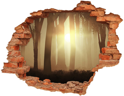 Hole wall sticker Golden morning in the forest