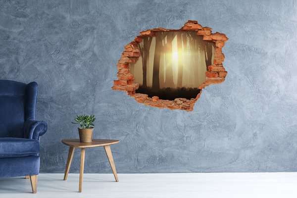 Hole wall sticker Golden morning in the forest