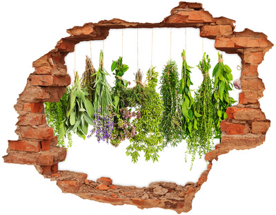 Hole wall sticker Green oasis with herbs