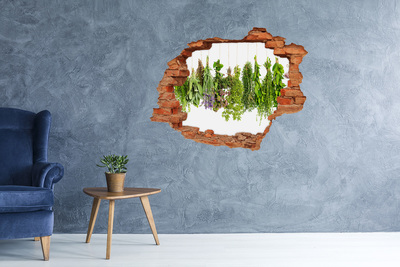 Hole wall sticker Green oasis with herbs