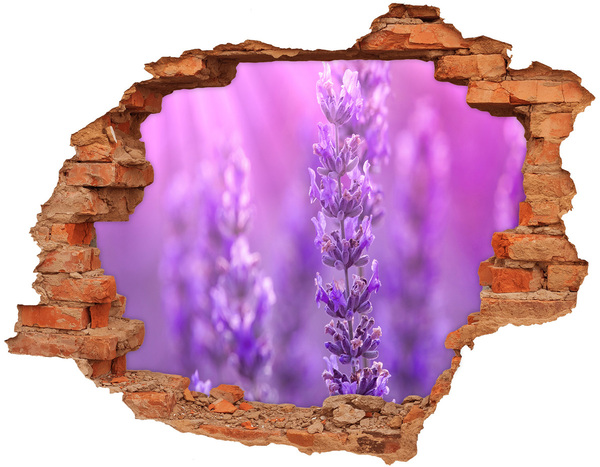 3D wall hole Lavender flowers in the morning light