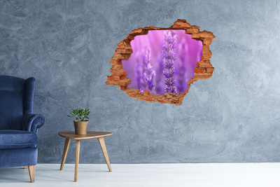 3D wall hole Lavender flowers in the morning light