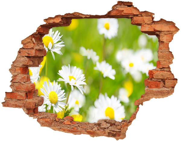 3D wall hole A flower paradise behind the walls