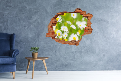 3D wall hole A flower paradise behind the walls