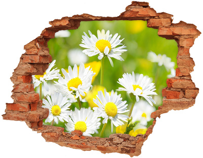 Hole wall sticker Flowers in the meadow