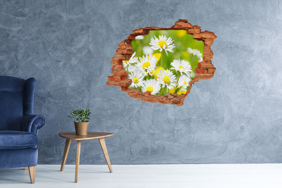 Hole wall sticker Flowers in the meadow