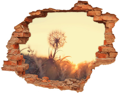 Hole in the wall sticker Dandelion