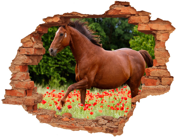 Hole in the wall sticker A horse in the field of poppies