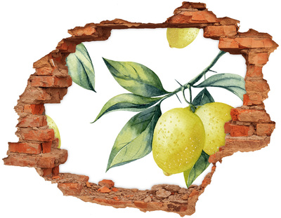 3D wall hole Lemons