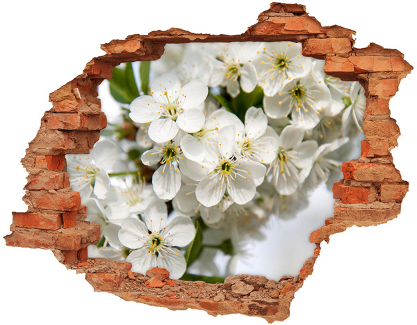 3D wall hole Flower garden behind the wall