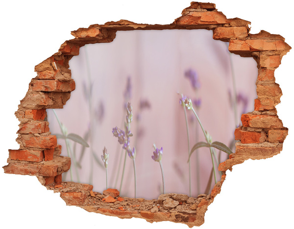 3D wall hole Flower meadow behind the wall