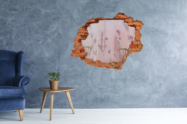 3D wall hole Lavender