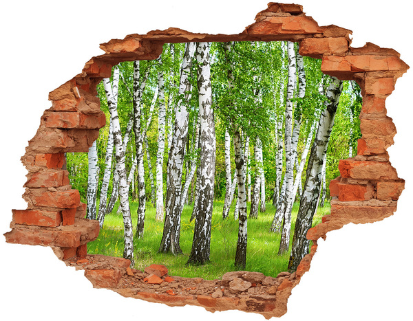 Hole wall sticker Green birch forest