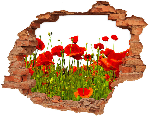Hole in the wall decal A floral paradise among the poppies