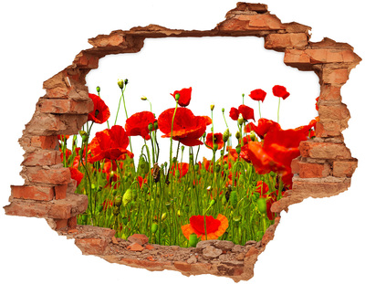 Hole in the wall decal Field poppies