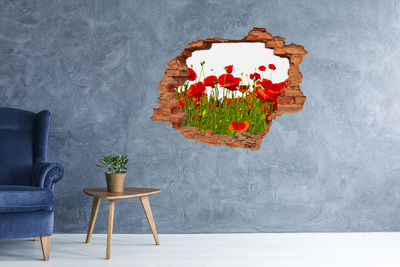 Hole in the wall decal Field poppies