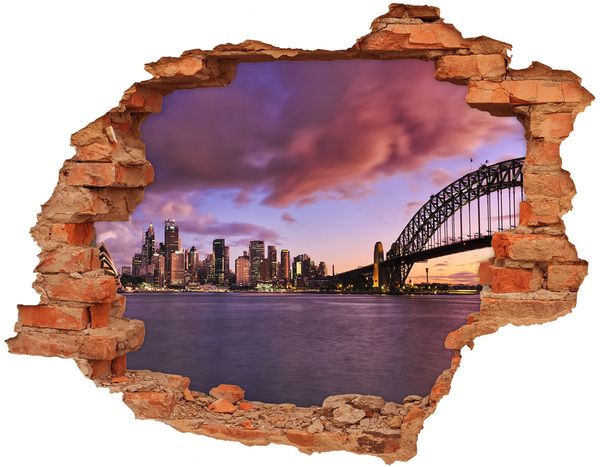 Hole in the wall sticker View of Sydney
