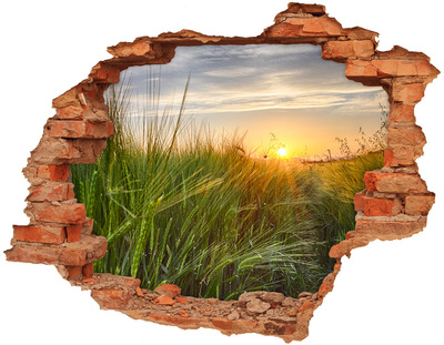 Hole wall sticker Sunset over the meadow