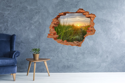 Hole wall sticker Sunset over the meadow