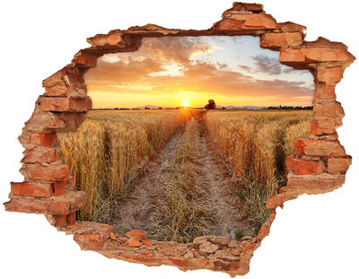 Hole in the wall decal Golden sunset over a grain field