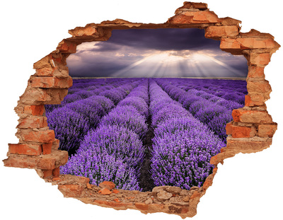 Hole wall sticker Lavender fields in the light of the setting sun