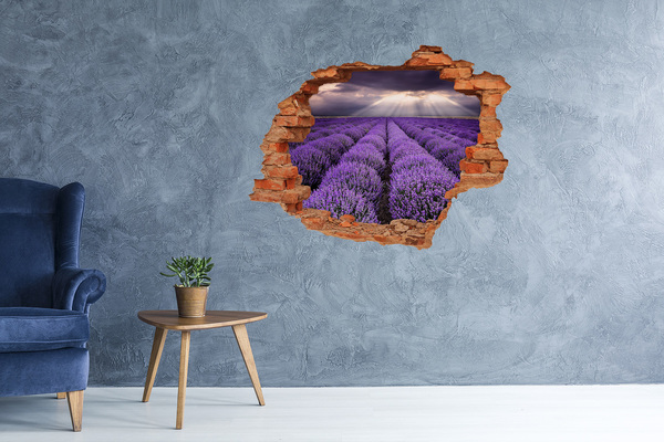 Hole wall sticker Lavender fields in the light of the setting sun
