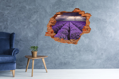 Hole wall sticker Lavender fields in the light of the setting sun