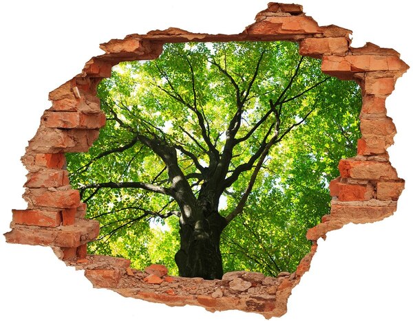 3D wall hole wallpaper Green Forest in a Hole in the Wall
