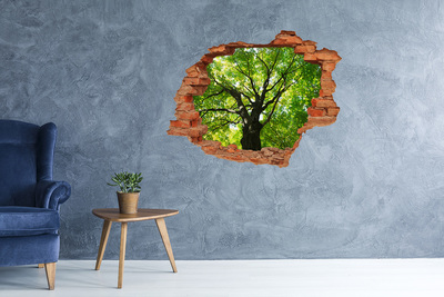 3D wall hole wallpaper Green Forest in a Hole in the Wall