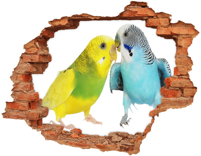 Hole in the wall decal Faded parakeets