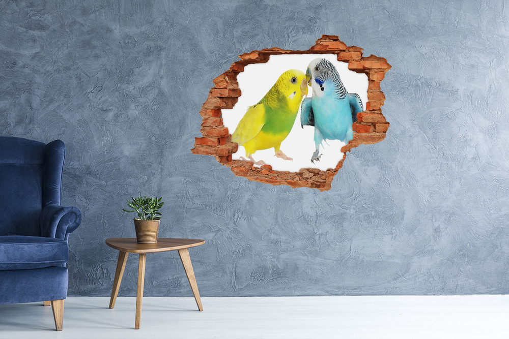 Hole in the wall decal Faded parakeets