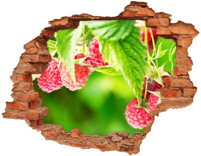 Hole in the wall decal Raspberries in the garden