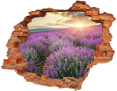 Hole wall sticker Lavender field at sunrise