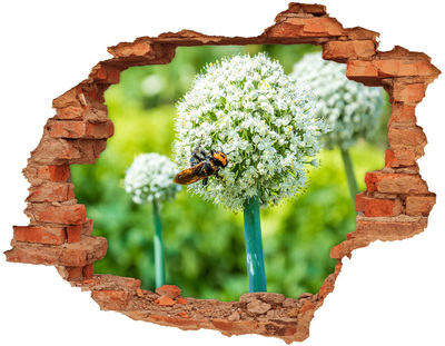 3D wall hole Flowering garlic