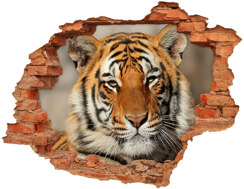 Hole in the wall decal Bengal tiger