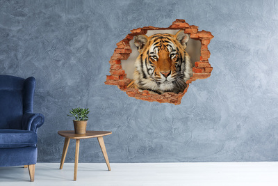 Hole in the wall decal Tiger in a Hole in the Wall