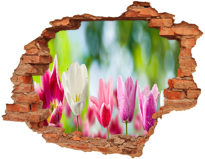 Hole wall sticker A flower paradise behind the wall
