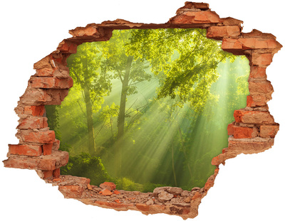 Hole in the wall decal Green forest with sun rays