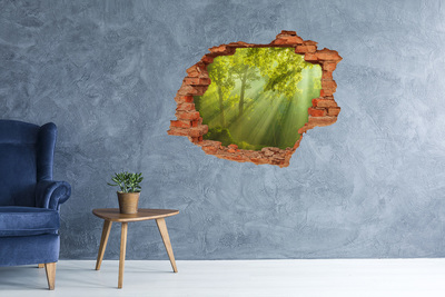Hole in the wall decal Green forest with sun rays