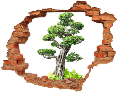 Hole in the wall sticker Bonsai in a hole in the wall