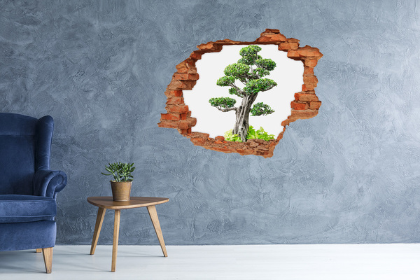 Hole in the wall sticker Bonsai in a hole in the wall