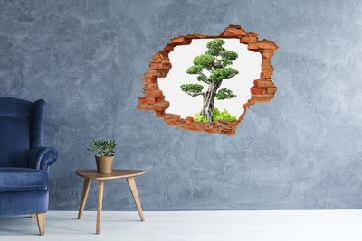 Hole in the wall sticker Bonsai in a hole in the wall
