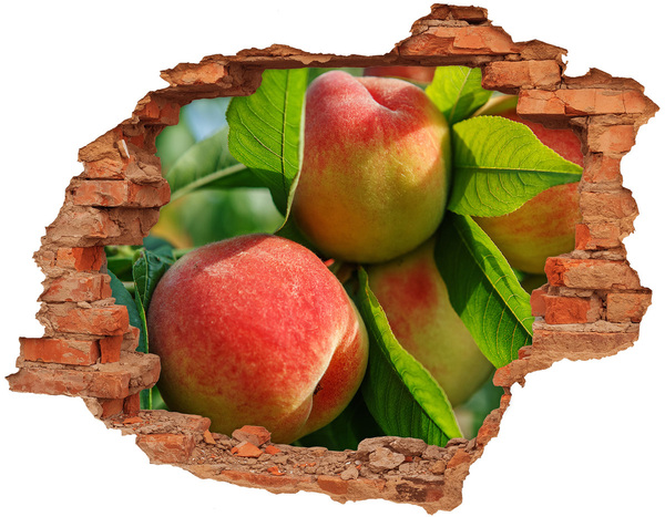 Hole in the wall sticker Peaches