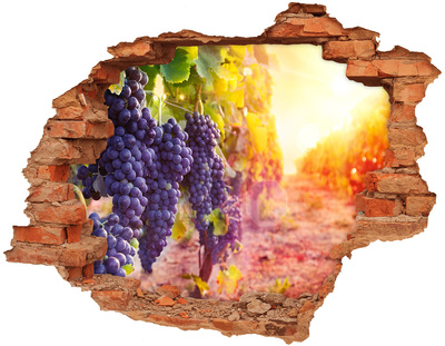 Hole in the wall decal Grape paradise in the morning