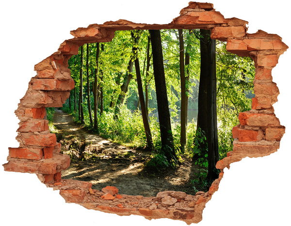 Hole in the wall sticker Green forest by the river