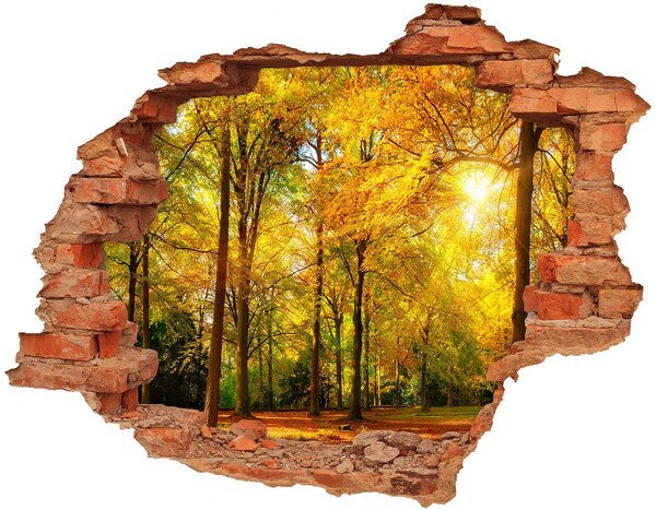 3D wall hole Forest in autumn