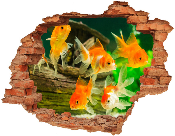 3D wall hole Golden Fish