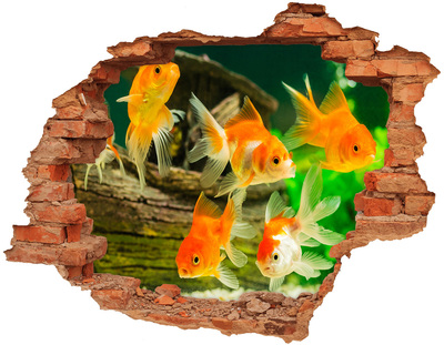 3D wall hole Goldfish in the underwater world