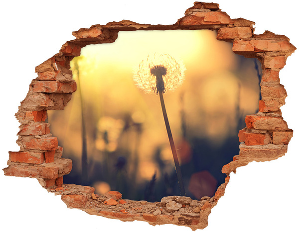 3D wall hole wallpaper Dandelion flower in the sun's rays